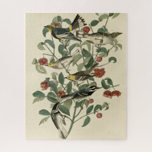 Puzzle Hermite, autres fautes de guerre, Audubon's Birds 