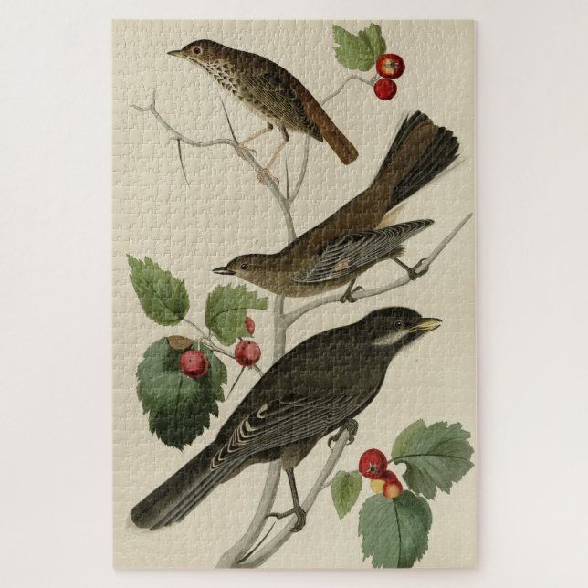 Puzzle Hermite Thrush, Grey Jay Audubon's Birds of Americ (Vertical)