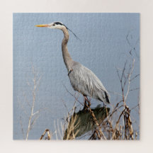 Héron bleu et terres humides de Fern Hill