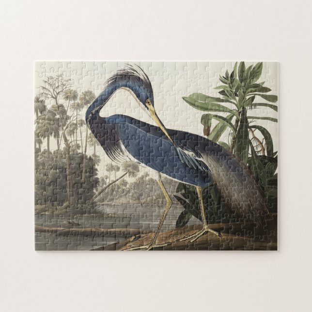 Puzzle Héron de Louisiane d'Oiseaux d'Amérique (Horizontal)