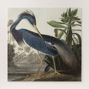 Puzzle Héron de Louisiane d'Oiseaux d'Amérique