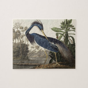 Puzzle Héron de Louisiane d'Oiseaux d'Amérique