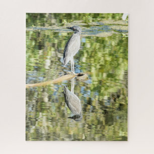 Puzzle Heron (et réflexion) à l'étang; nature