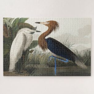 Puzzle Heron pourpre des oiseaux d'Amérique
