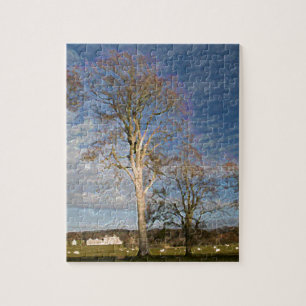 Puzzle Hêtres Irlandais