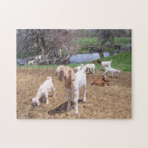 Puzzle Hey Goat Kids