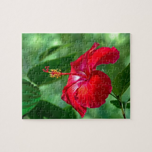 Puzzle Hibiscus Blossom (Horizontal)