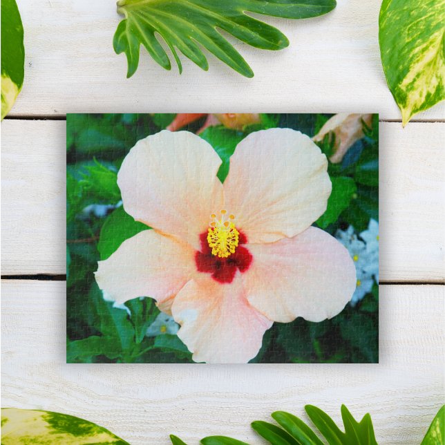Puzzle Hibiscus Tropical Pêche de Venise, Italie (Créateur téléchargé)