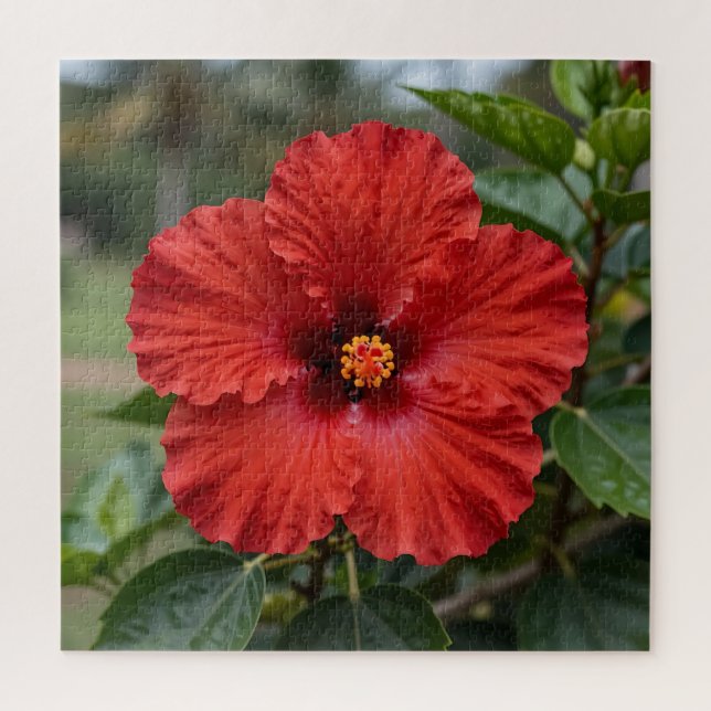 Puzzle Hibiscus Tropical Rouge Vibrant Fleurit (Vertical)