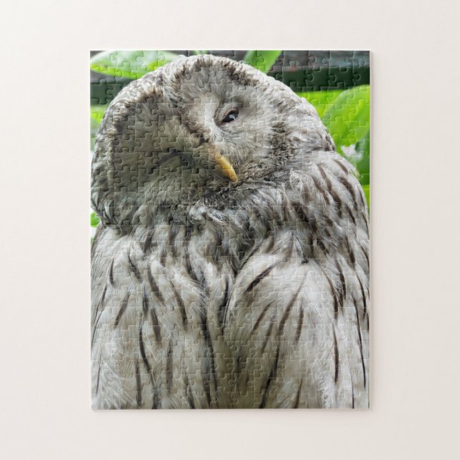 PUZZLE HIBOU (Vertical)