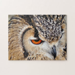 PUZZLE HIBOU