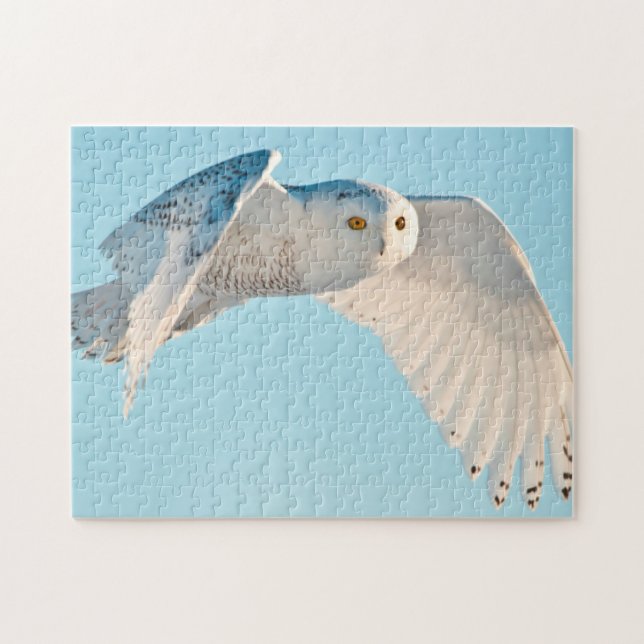 Puzzle Hibou blanc en vol (Horizontal)