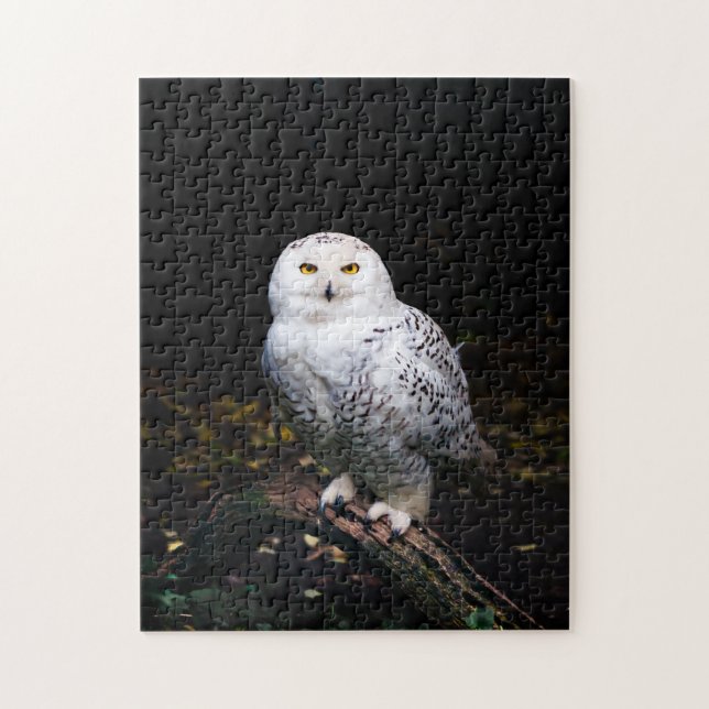 Puzzle Hibou blanc majestueux d'hiver (Vertical)