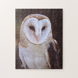 Puzzle hibou de grange