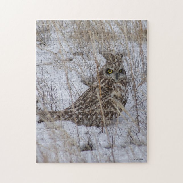 Puzzle Hibou des marais B11 (Vertical)