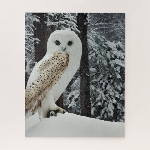 Puzzle Hibou des neiges 
