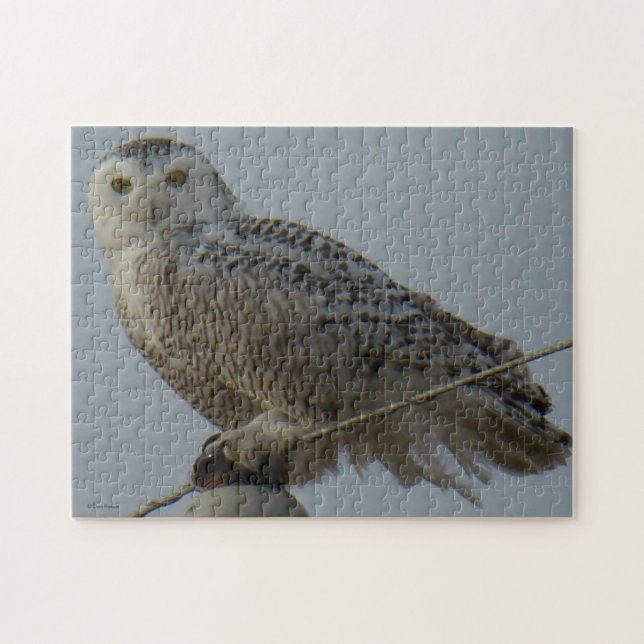 Puzzle Hibou des neiges B38 (Horizontal)