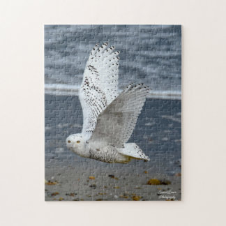 Puzzle Hibou des neiges sur une plage 