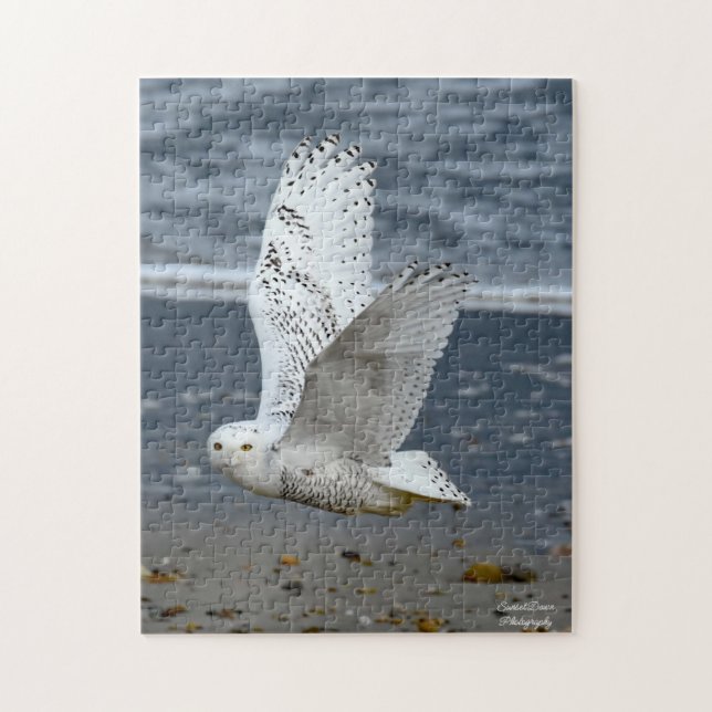 Puzzle Hibou des neiges sur une plage  (Vertical)