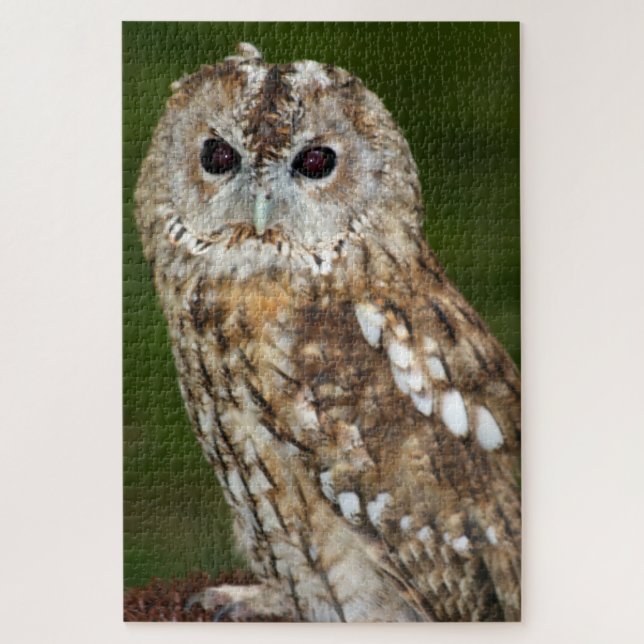 Puzzle Hibou moyen-duc (Vertical)