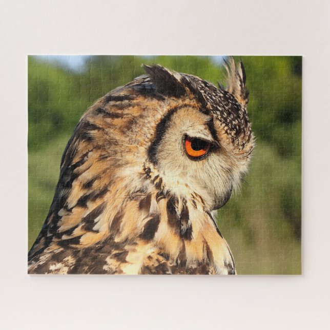 Puzzle Hibou moyen-duc - Oiseaux de proie. (Horizontal)
