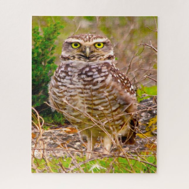Puzzle Hiboux - Oiseaux de proie. (Vertical)