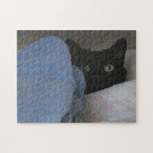 Puzzle - Hideout du placard