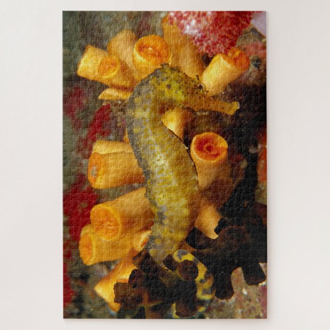 Puzzle Hippocampe en gros plan en Thaïlande (Vertical)