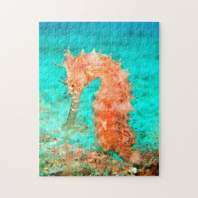 Puzzle Hippocampe tropical caraïbe turquoise orange  (Vertical)