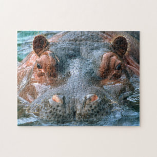 Puzzle Hippopotame #1