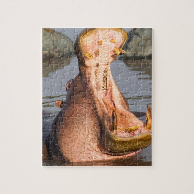 Puzzle Hippopotame bâillant, Tanzanie (Vertical)