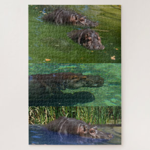 Puzzle Hippos heureux dans un étang,