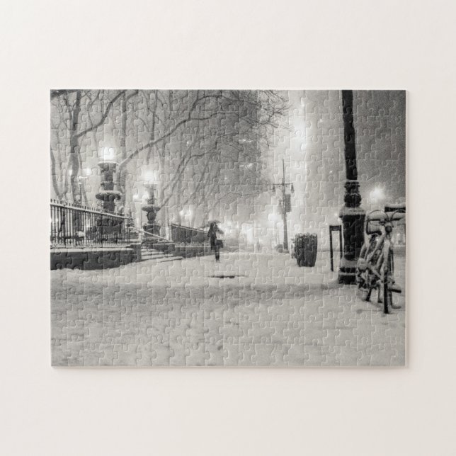 Puzzle Hiver de New York - nuit de Milou - parc de Bryant (Horizontal)