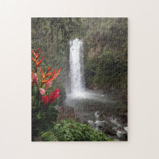 Puzzle Hiver en le Costa Rica