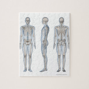 Puzzle Homme Skeleton 2