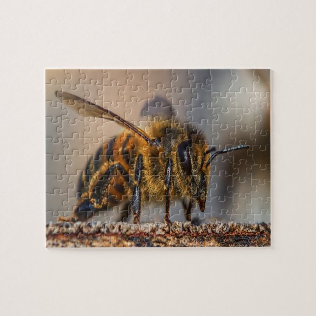 Puzzle Honey Bee Love (Horizontal)