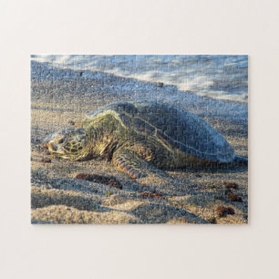 Puzzle Honu sur le sable chaud