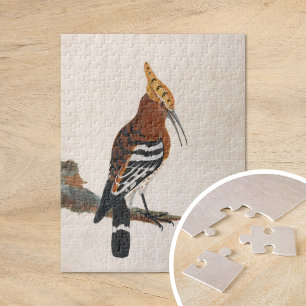 Puzzle Hoopoe commun   William Lewin