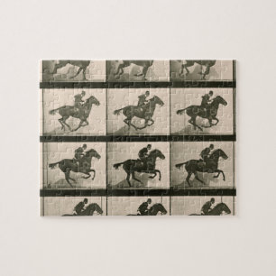 Puzzle Horse Motion Photographie Vintage