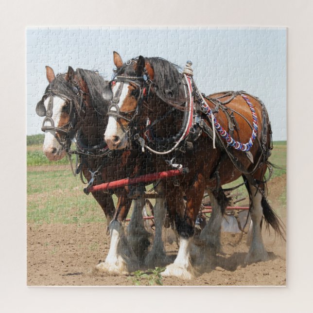 Puzzle Horses Plowing (Vertical)