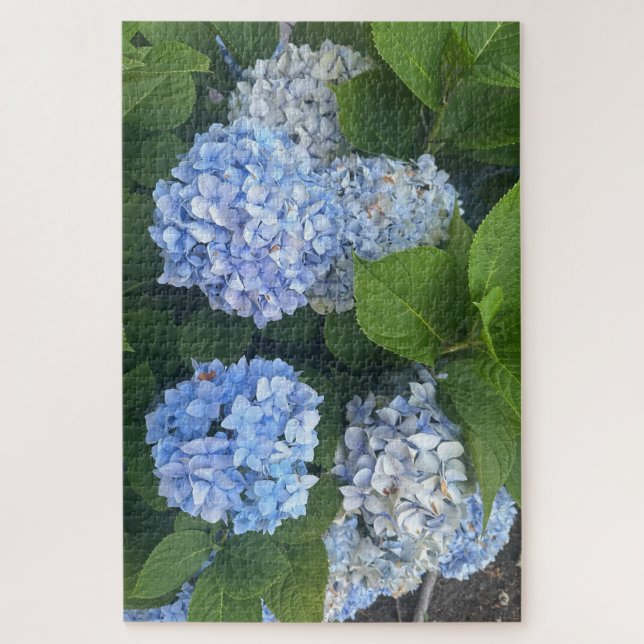 Puzzle Hortensias bleus, San Lorenzo (Vertical)