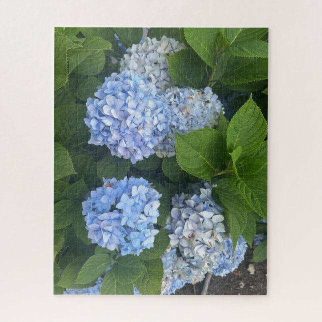 Puzzle Hortensias bleus, San Lorenzo (Vertical)