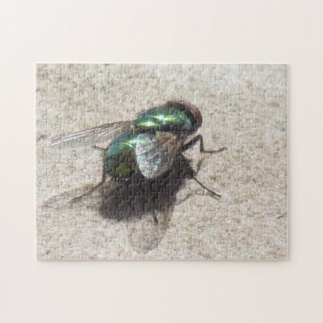 Puzzle - House Fly (Horizontal)