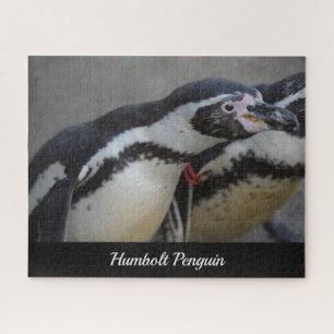 Puzzle Humbolt Penguin au zoo de Drusillas dans l'est du 