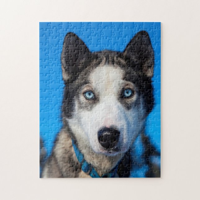 Puzzle Husky d'Alaska. (Vertical)