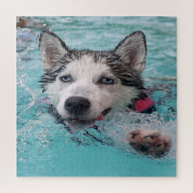 Puzzle Husky natation (Vertical)