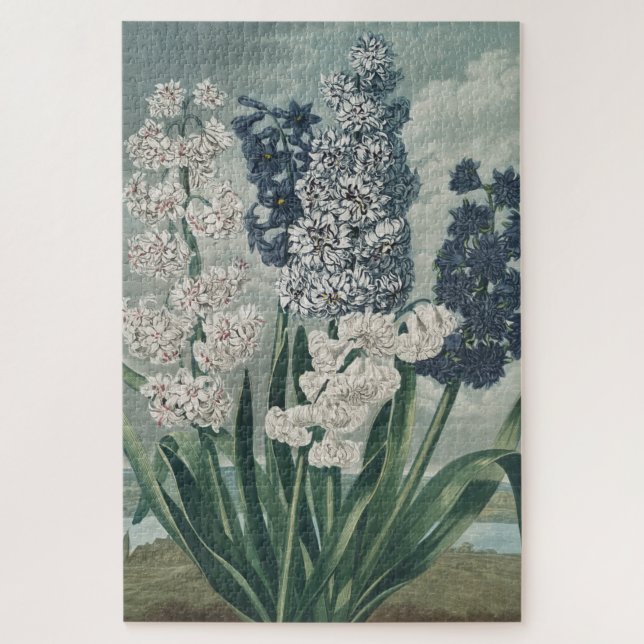 Puzzle Hyacinthes (1807) - Exquise Botanique Vintage (Vertical)