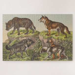 Puzzle Hyaena (Hyena), loup et chien