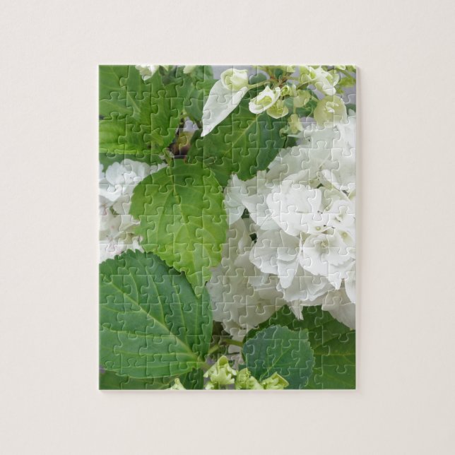 Puzzle Hydrangea Flower Green White Nature Jardin Plantes (Vertical)