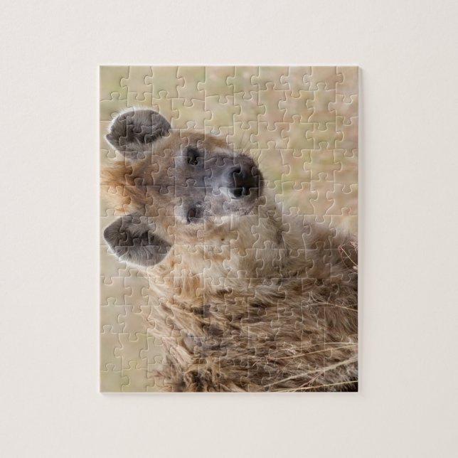 Puzzle Hyena (Vertical)